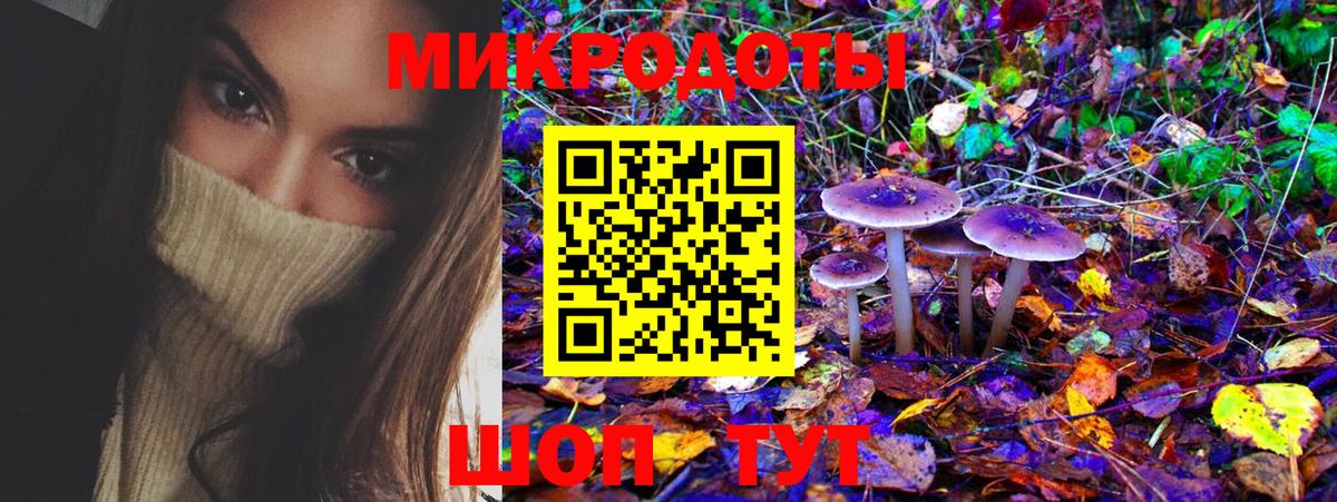 Псилоцибиновые грибы мицелий  Вход с VPN  Ленинск-Кузнецкий 