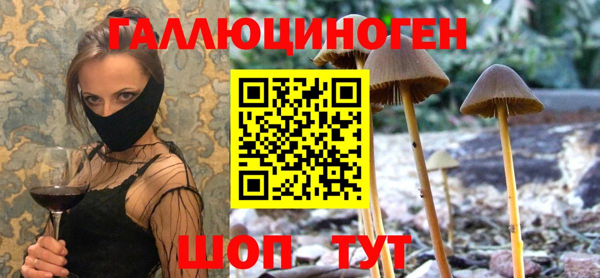Псилоцибиновые грибы ЛСД Ленинск-Кузнецкий